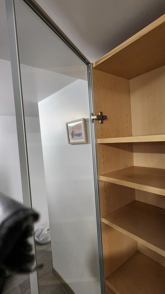 Tall Wooden Shelf with Glass Door - photo 3