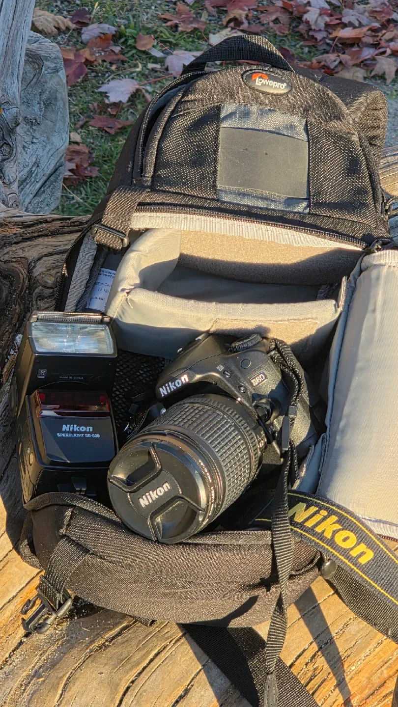 Nikon D80 Camera, Speedlight SB-600 Flash & Lowepro Bag image indicator(9)