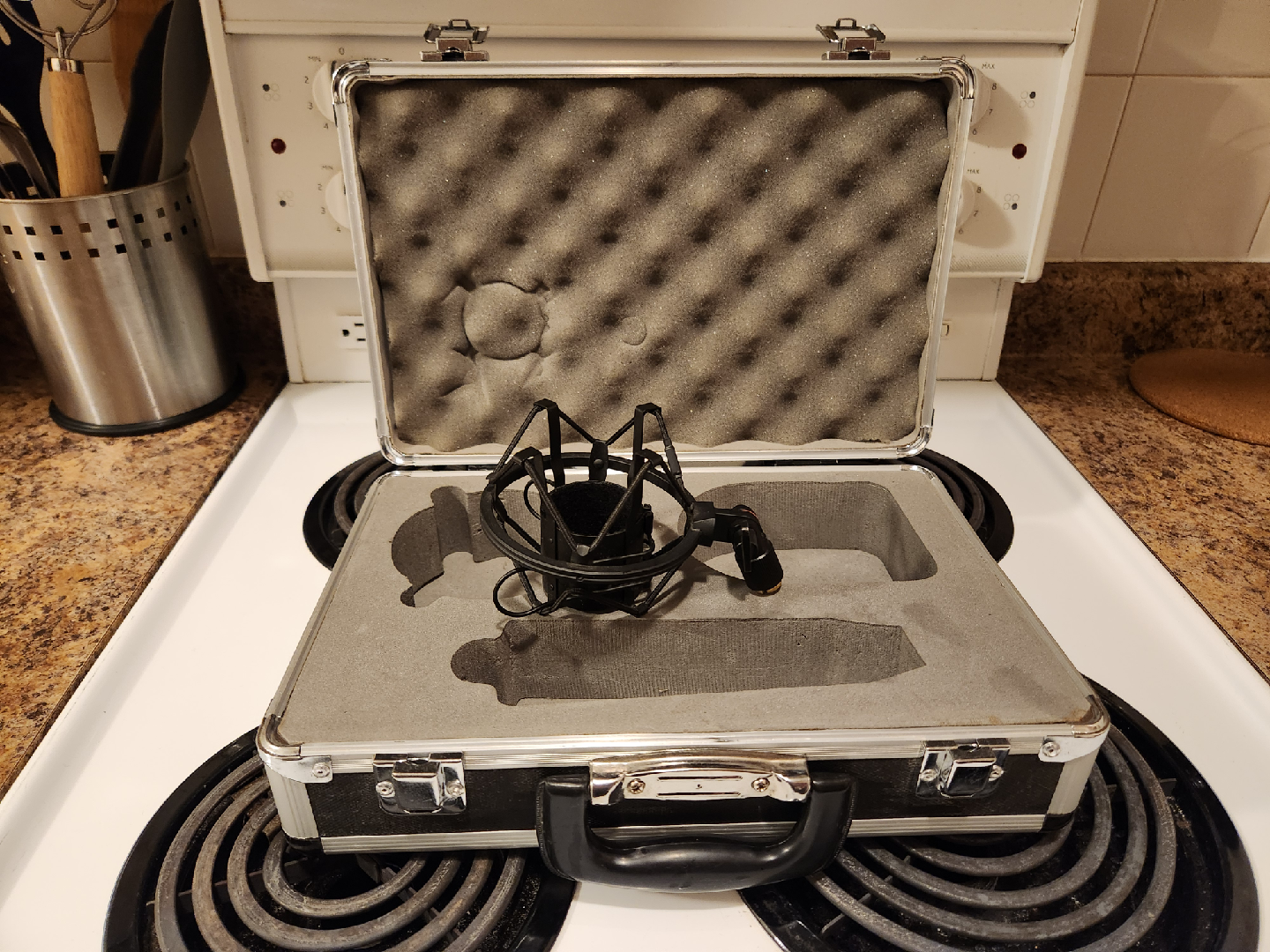 Microphone Shock Mount with Case