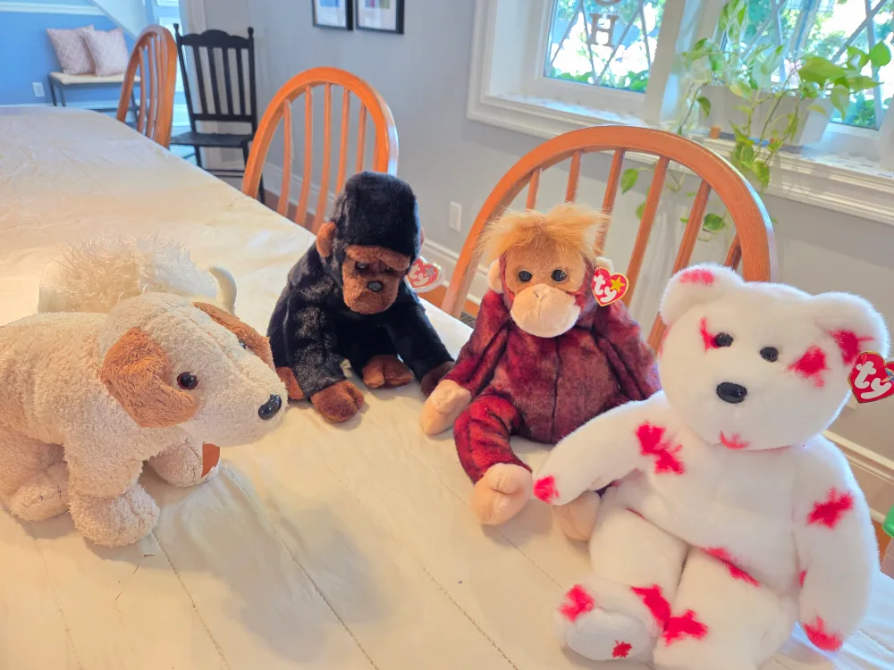 Ty Beanie Babies Collection thumbnail