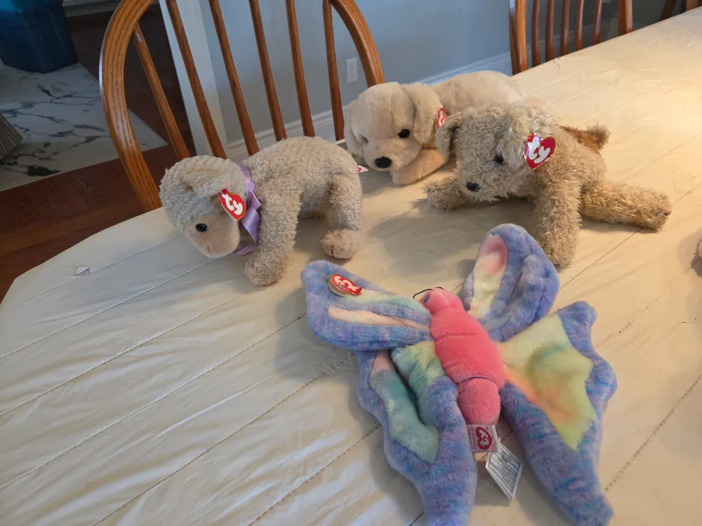 Ty Beanie Babies Collection image indicator(2)