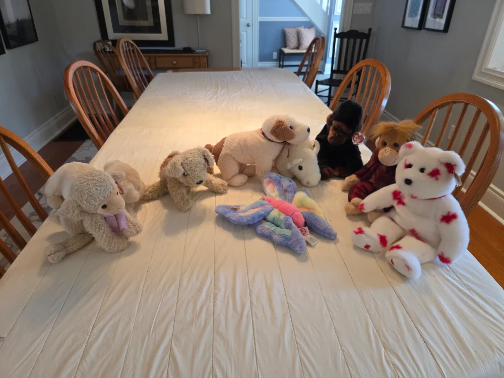 Ty Beanie Babies Collection image indicator(3)