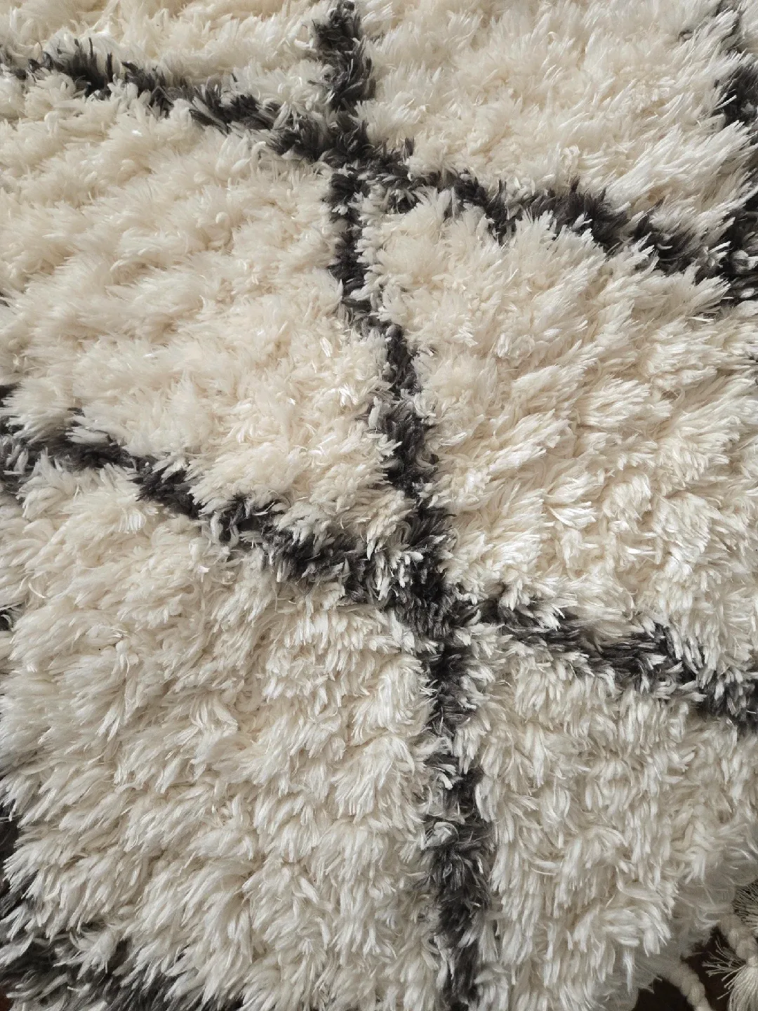 BN Wild Sage Abigail Accent Rug - 36" x 60" image indicator(2)