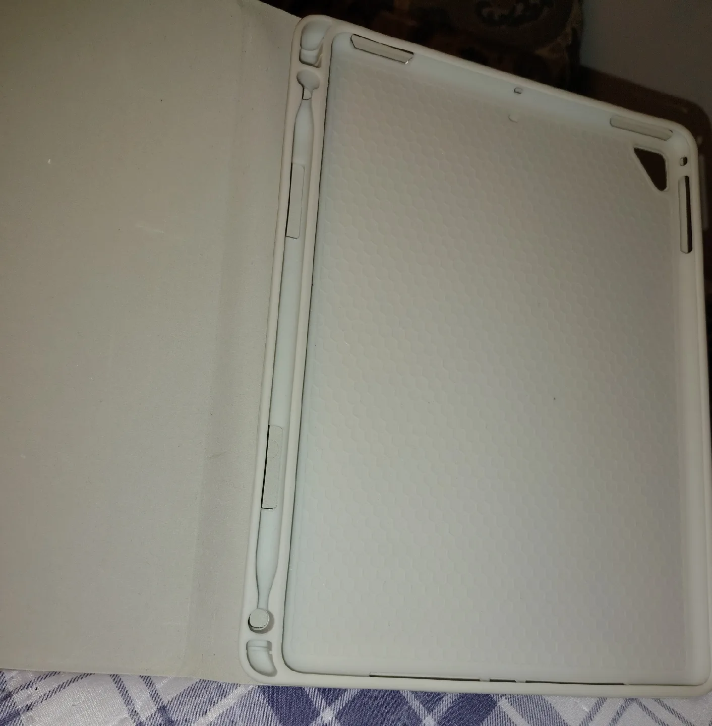 🥕iPad Case - Light Grey image indicator(2)