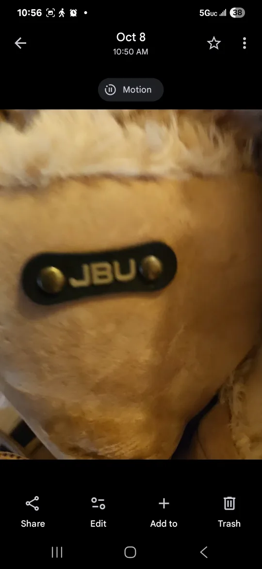 JBU Tan Winter Boots image indicator(3)