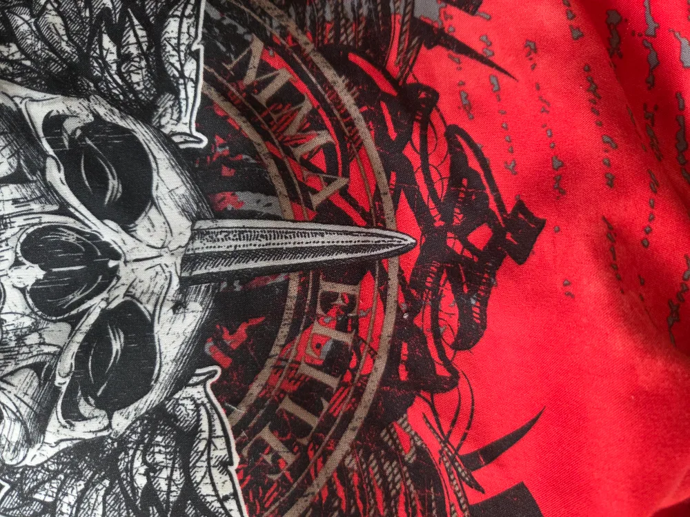 Red & Black Graphic Board Shorts, Size 32 image indicator(5)