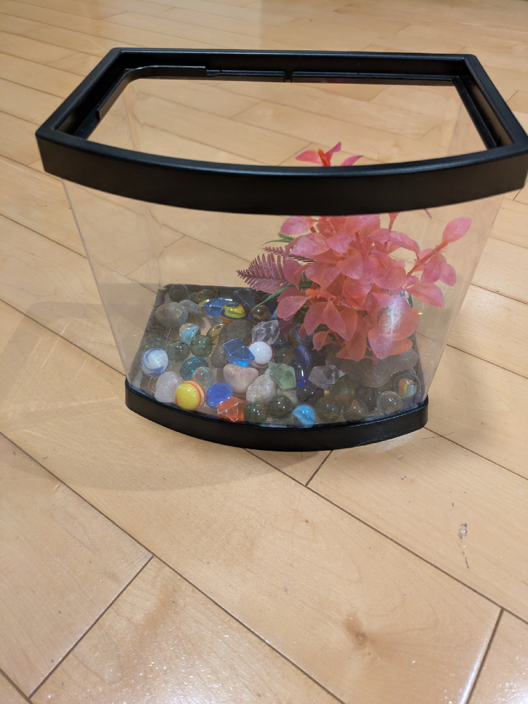 Small Fish Tank with Decor