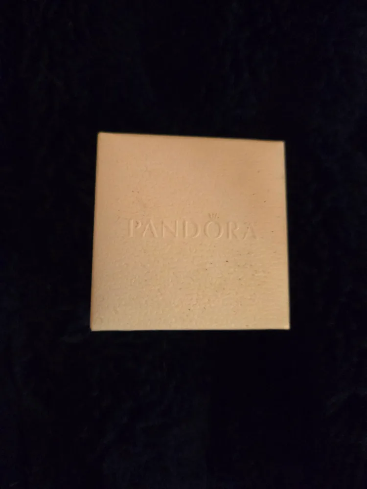 NEW Pandora Horseshoe Charm image indicator(2)