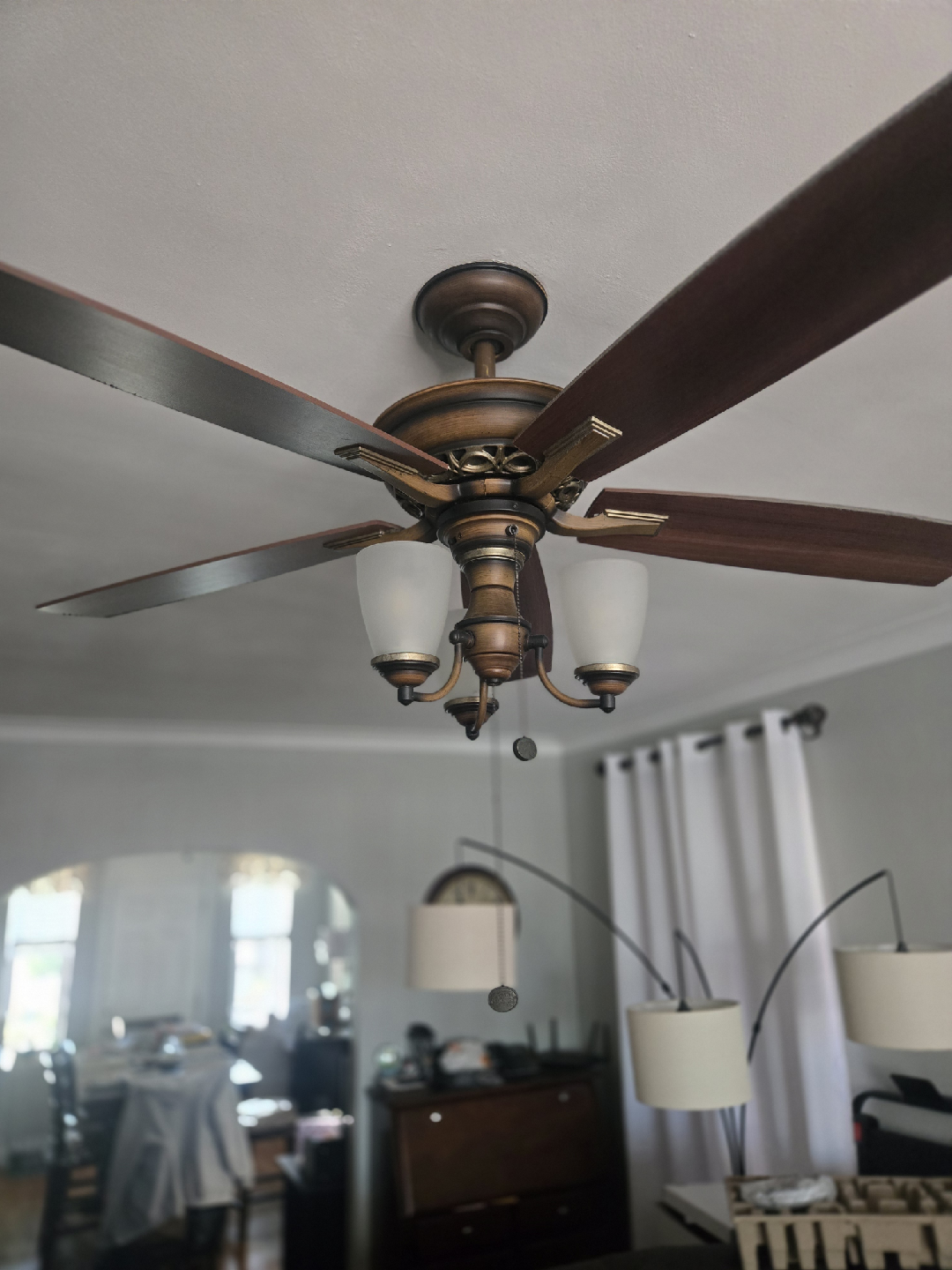 Ceiling Fan with Lights