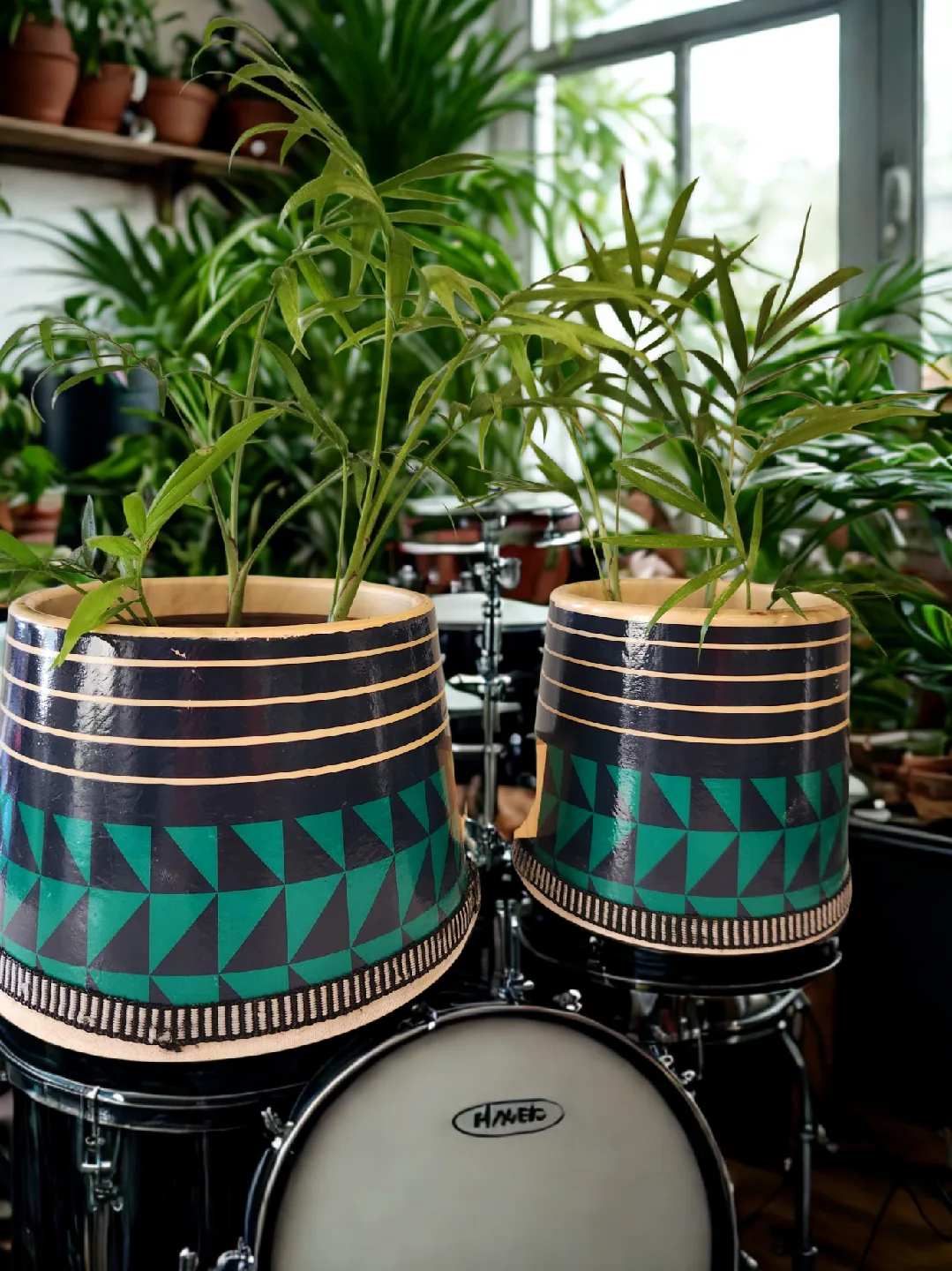 bondo drum planter with parlour palms thumbnail
