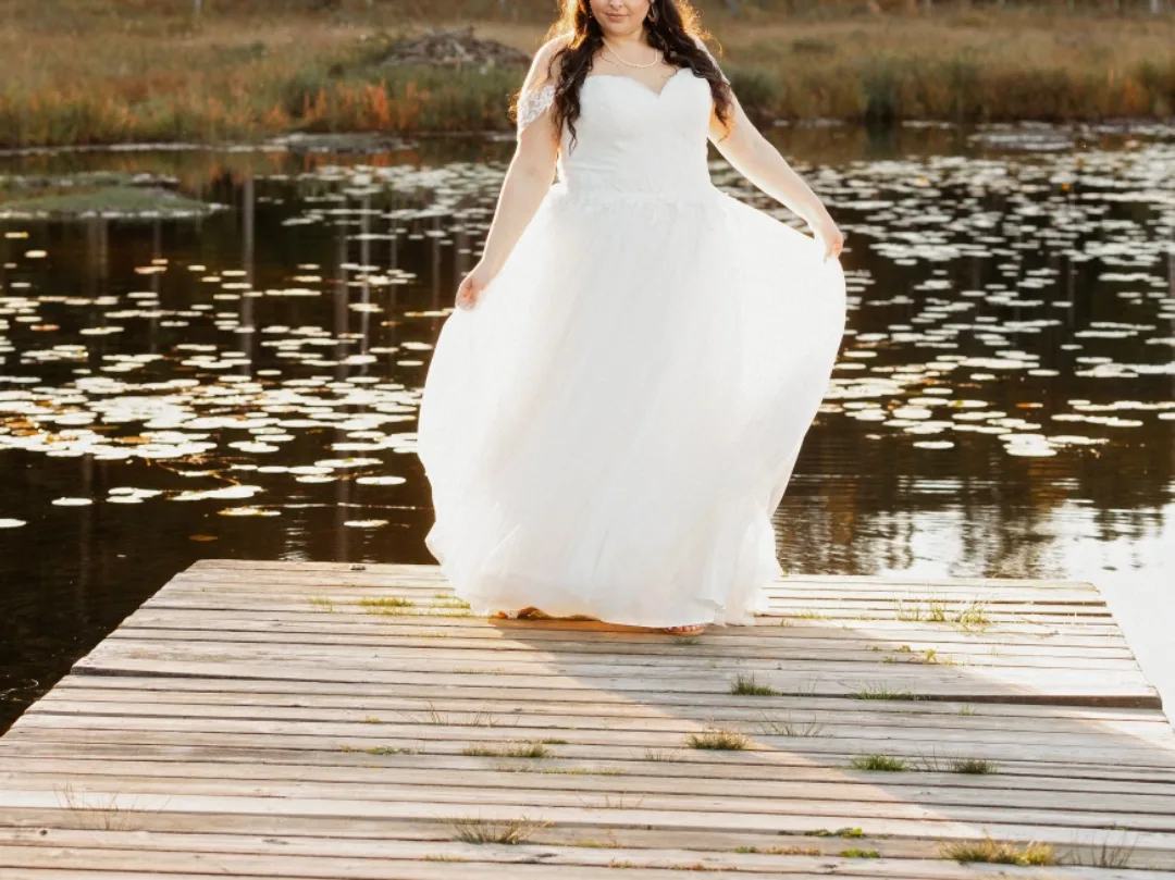 Wedding Dress image indicator(4)