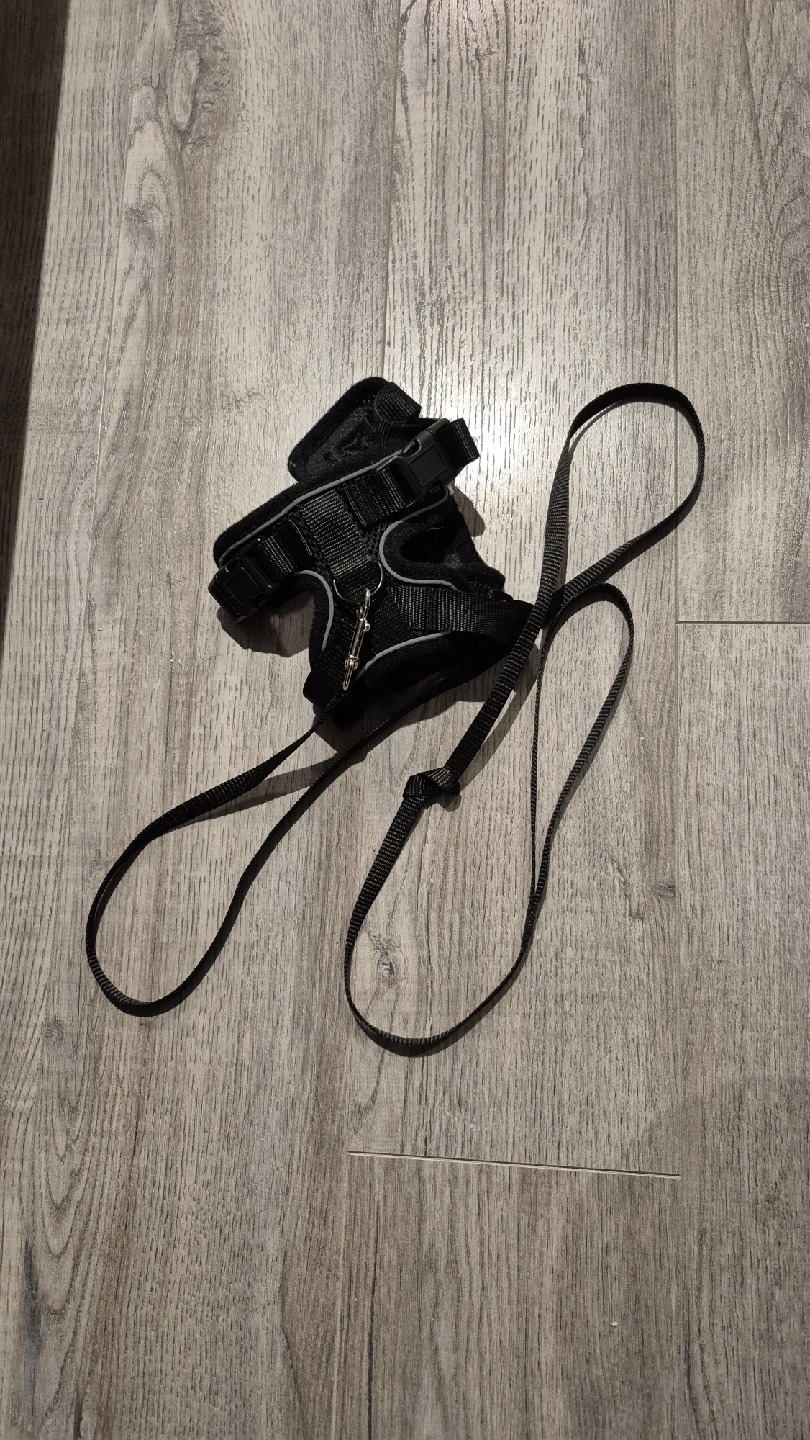 Leash - photo 2