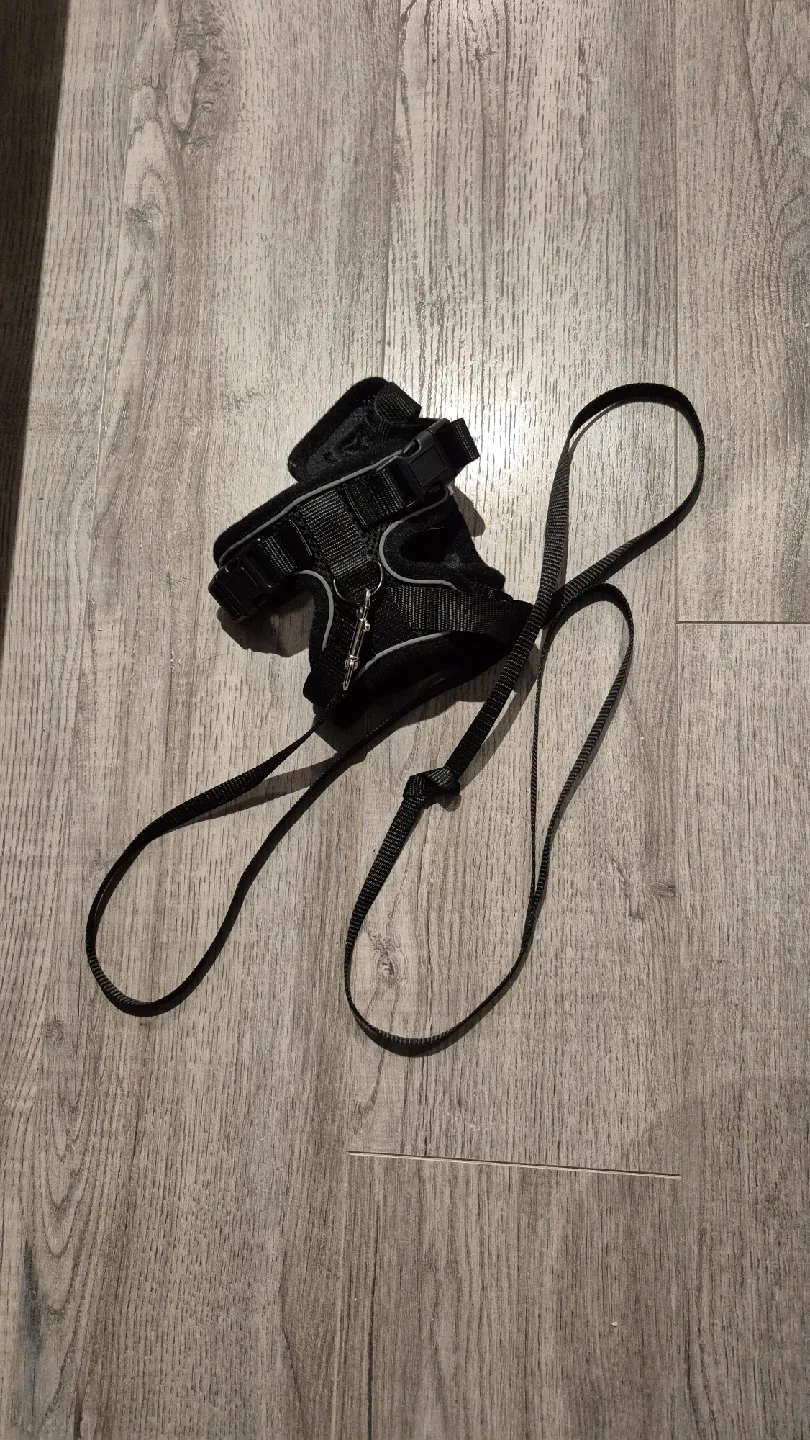 Leash image indicator(2)