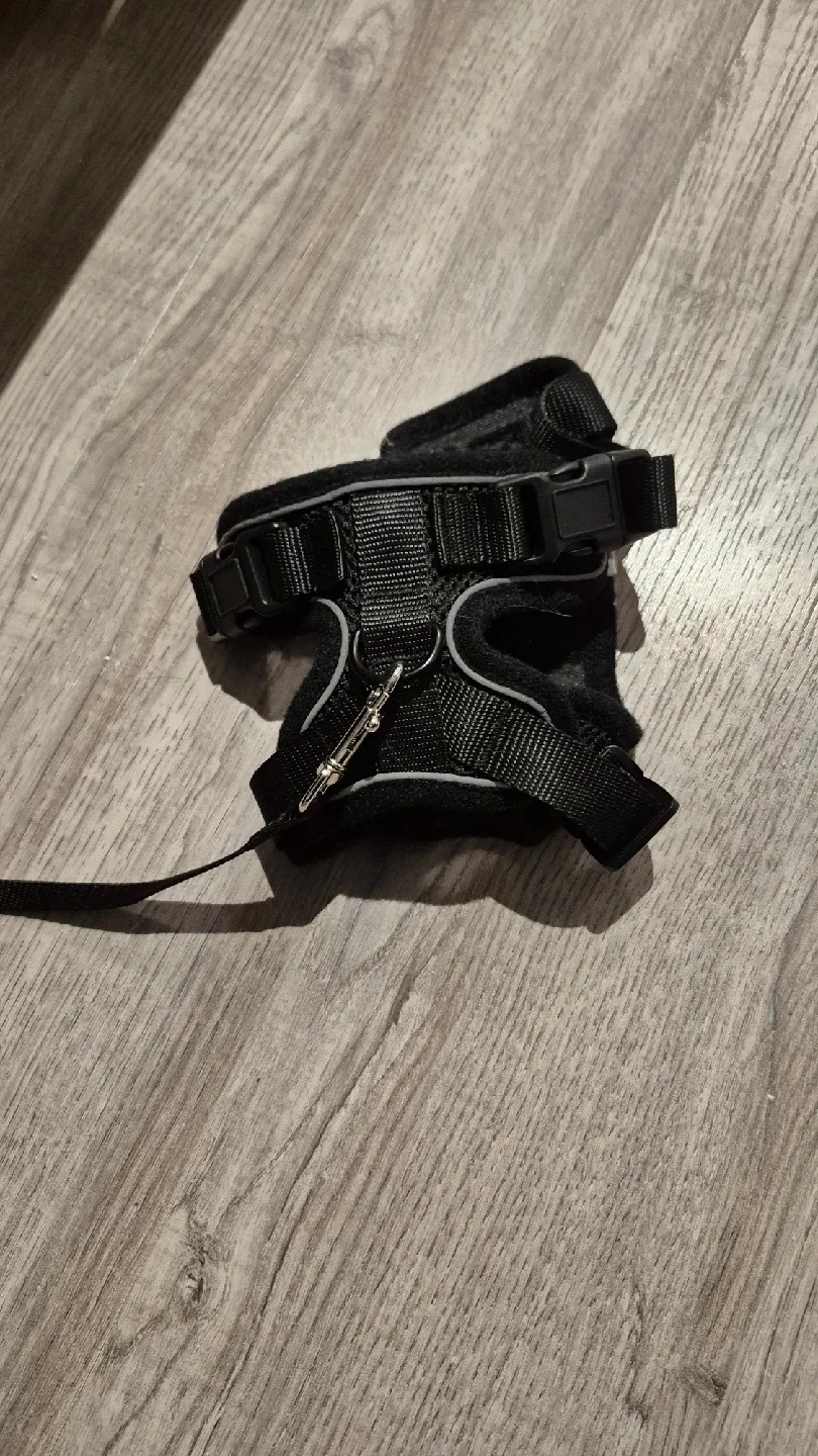 Leash image indicator(3)