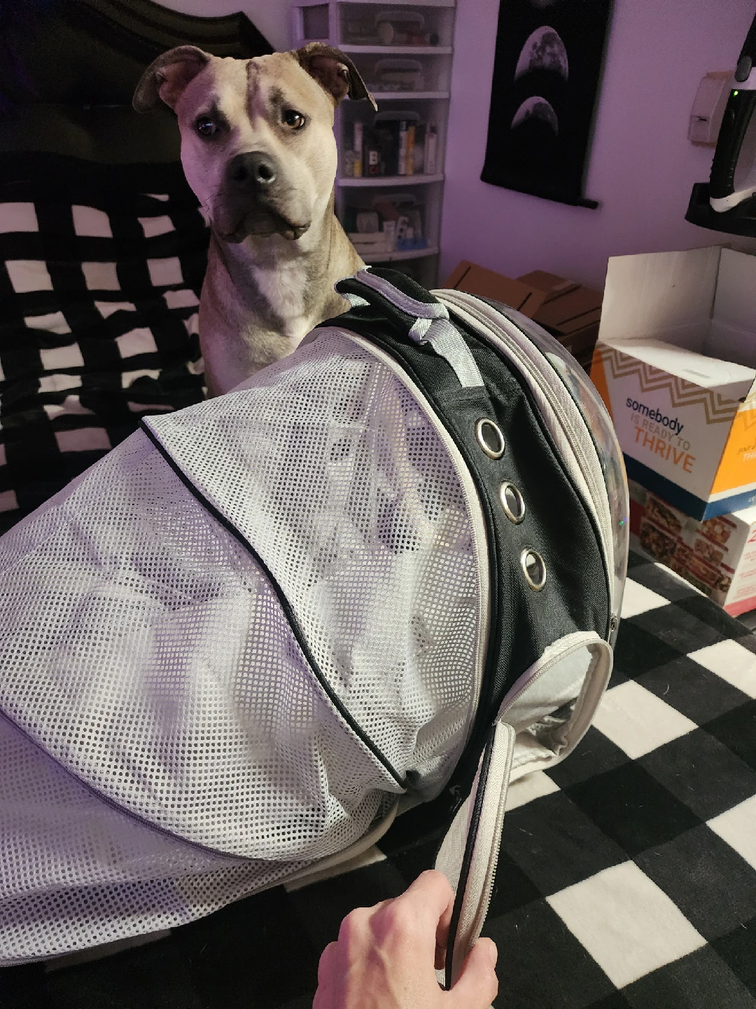 🧡Pet Carrier Backpack - Black & White - photo 4
