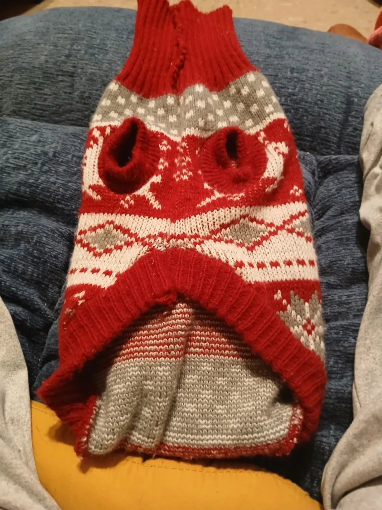 Red & White Dog Sweater image indicator(4)