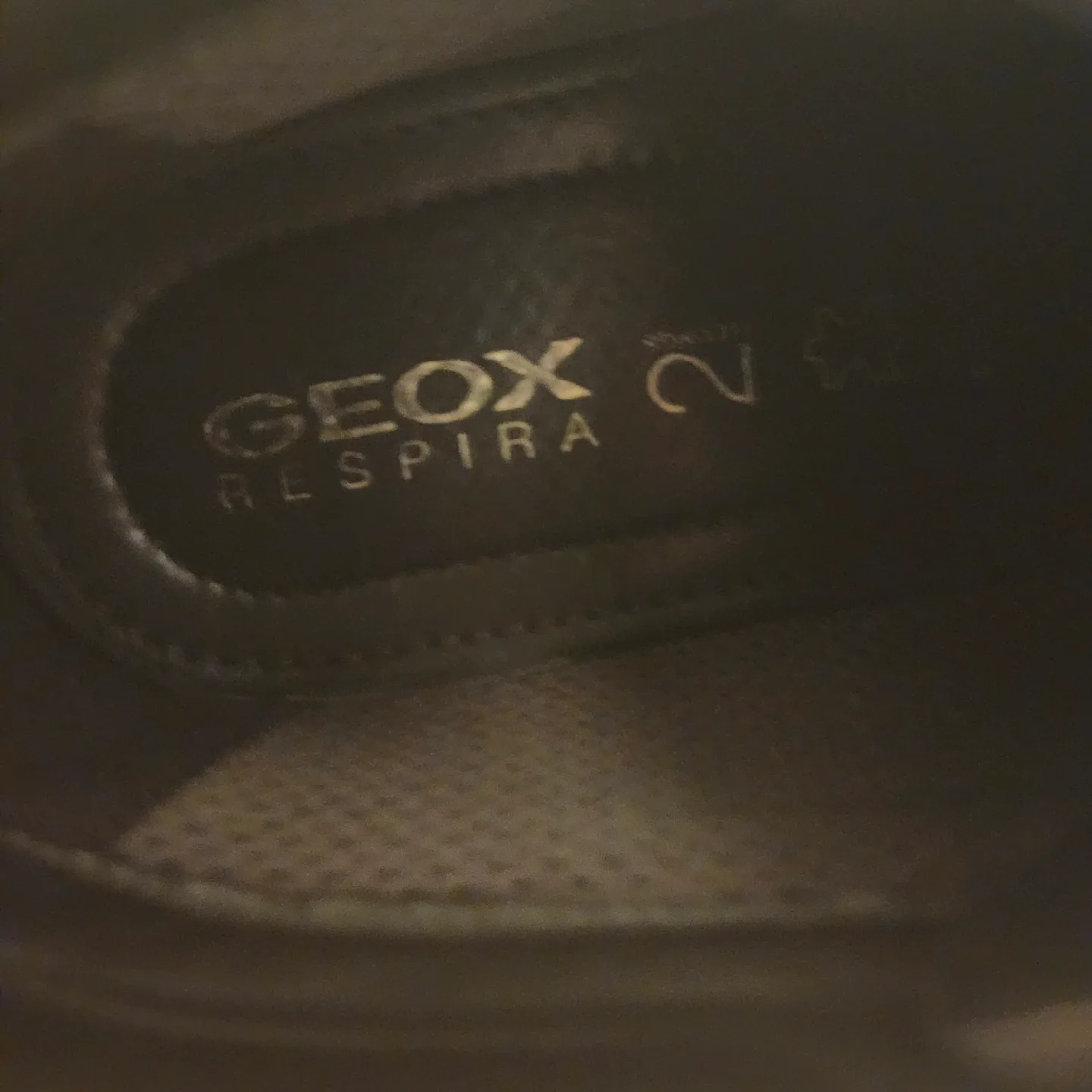 Geox Respira Brown Suede Ankle Boots image indicator(2)