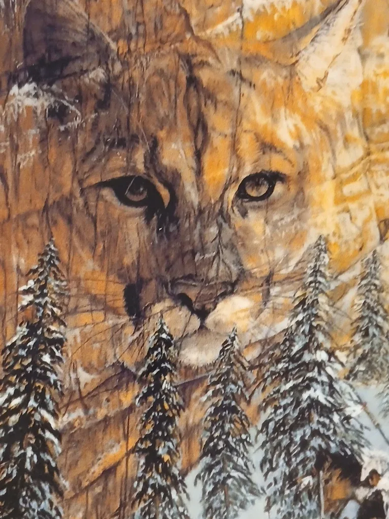 Canyon of the Cat, Collectors Plate thumbnail