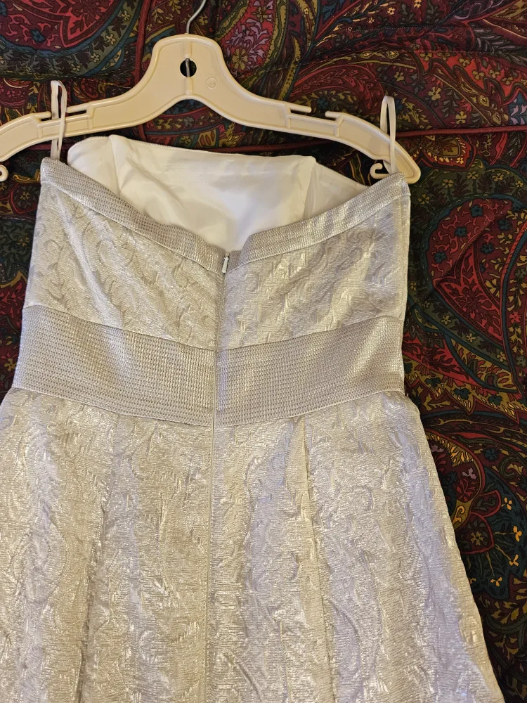 Strapless Silver Wedding Dress image indicator(5)