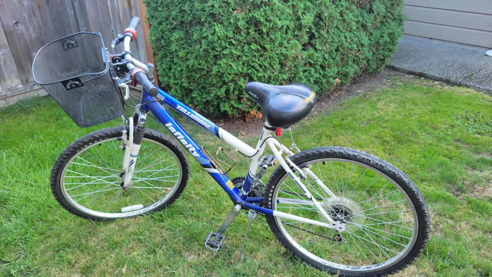 DLX 21Speed Bike W/$95Value Of RemovableBasket&XLSeat