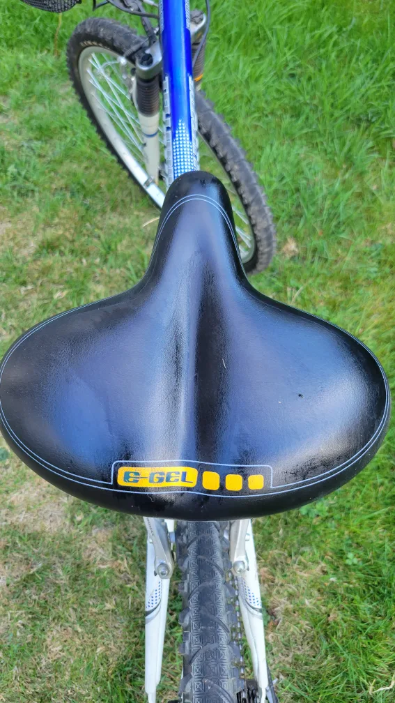 DLX 21Speed Bike W/$95Value Of RemovableBasket&XLSeat image indicator(2)