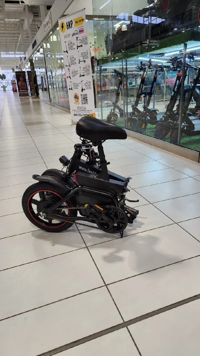 B-20 Feel The Fun E-Bike image indicator(6)