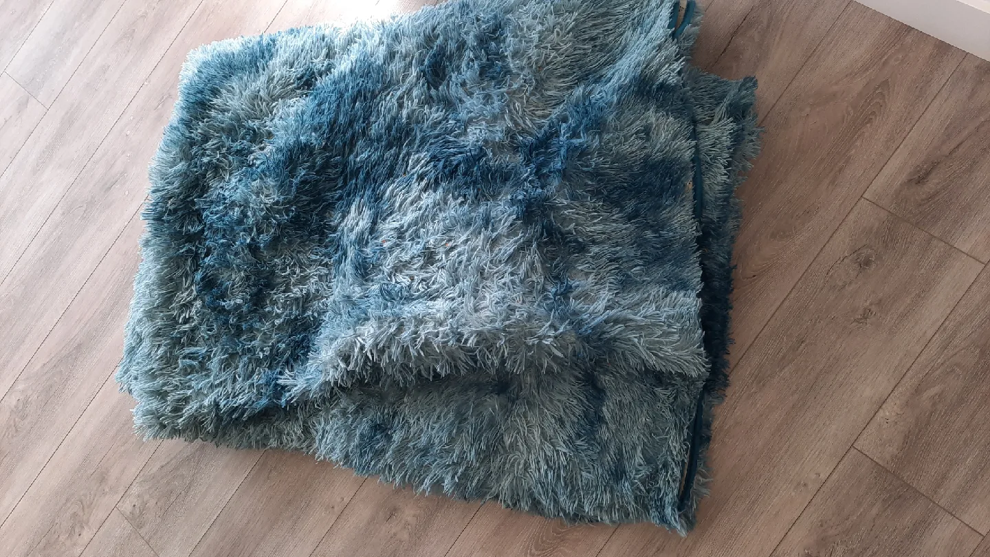 Blue Shag Rug image indicator(2)