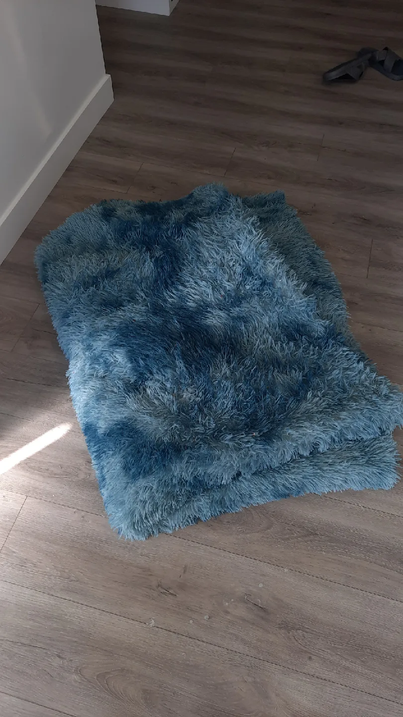 Blue Shag Rug image indicator(3)