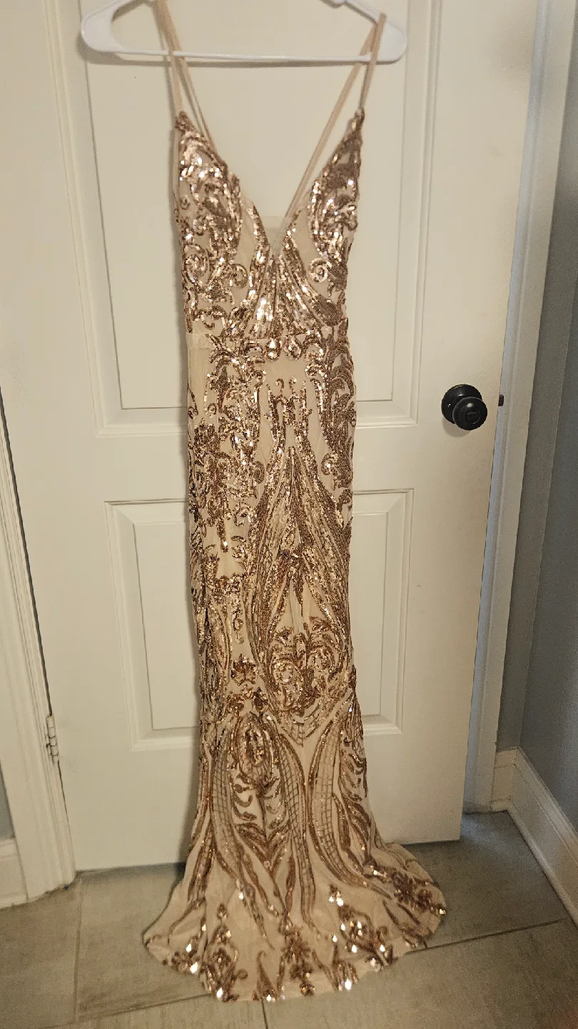 Fashion Nova Sequin Gown image indicator(2)