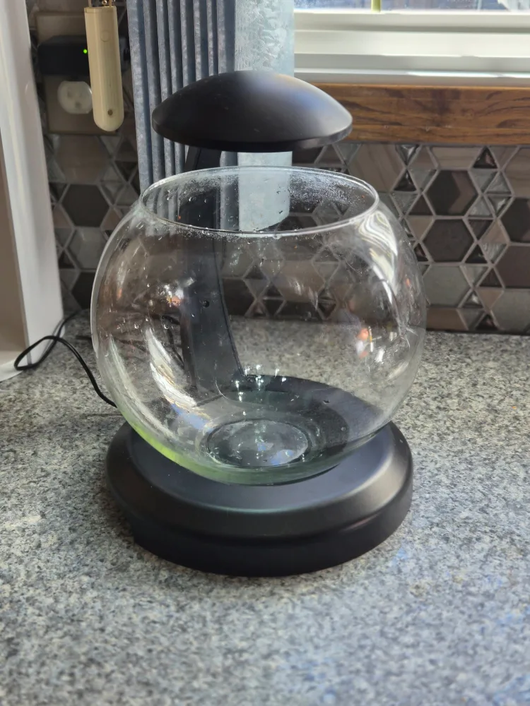 Fish Bowl with accessories image indicator(3)