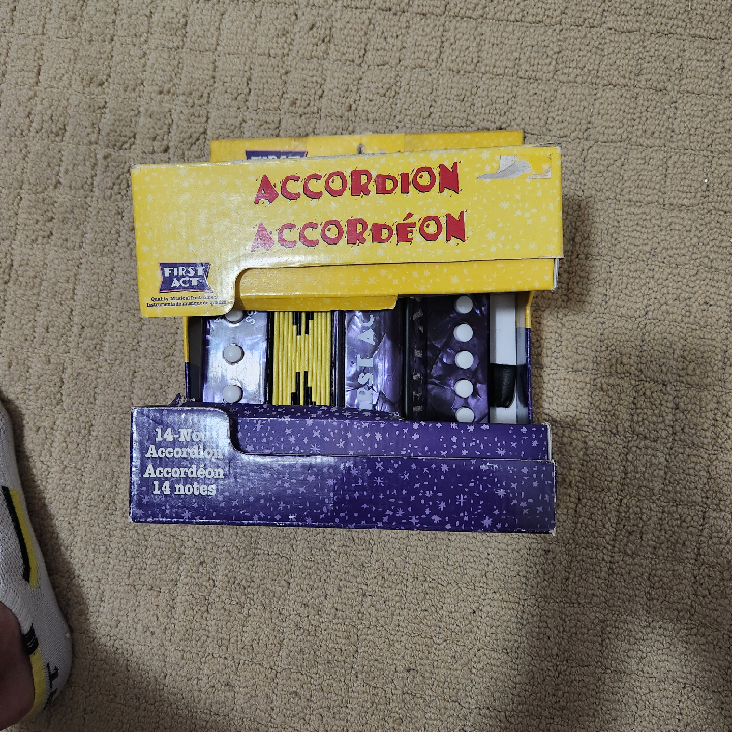 First Act Accordion - Purple