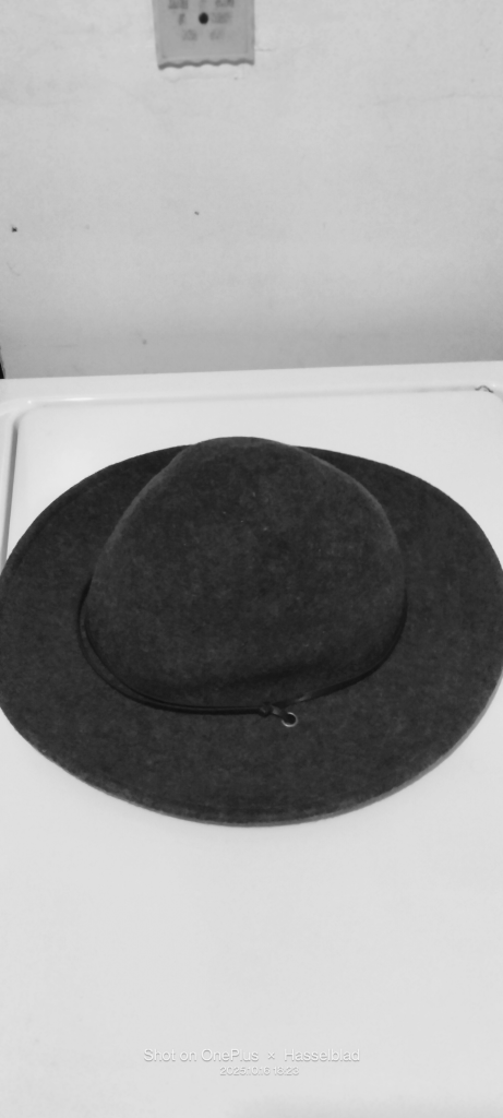 Goodfellow & Co Wool Hat - Size M/L