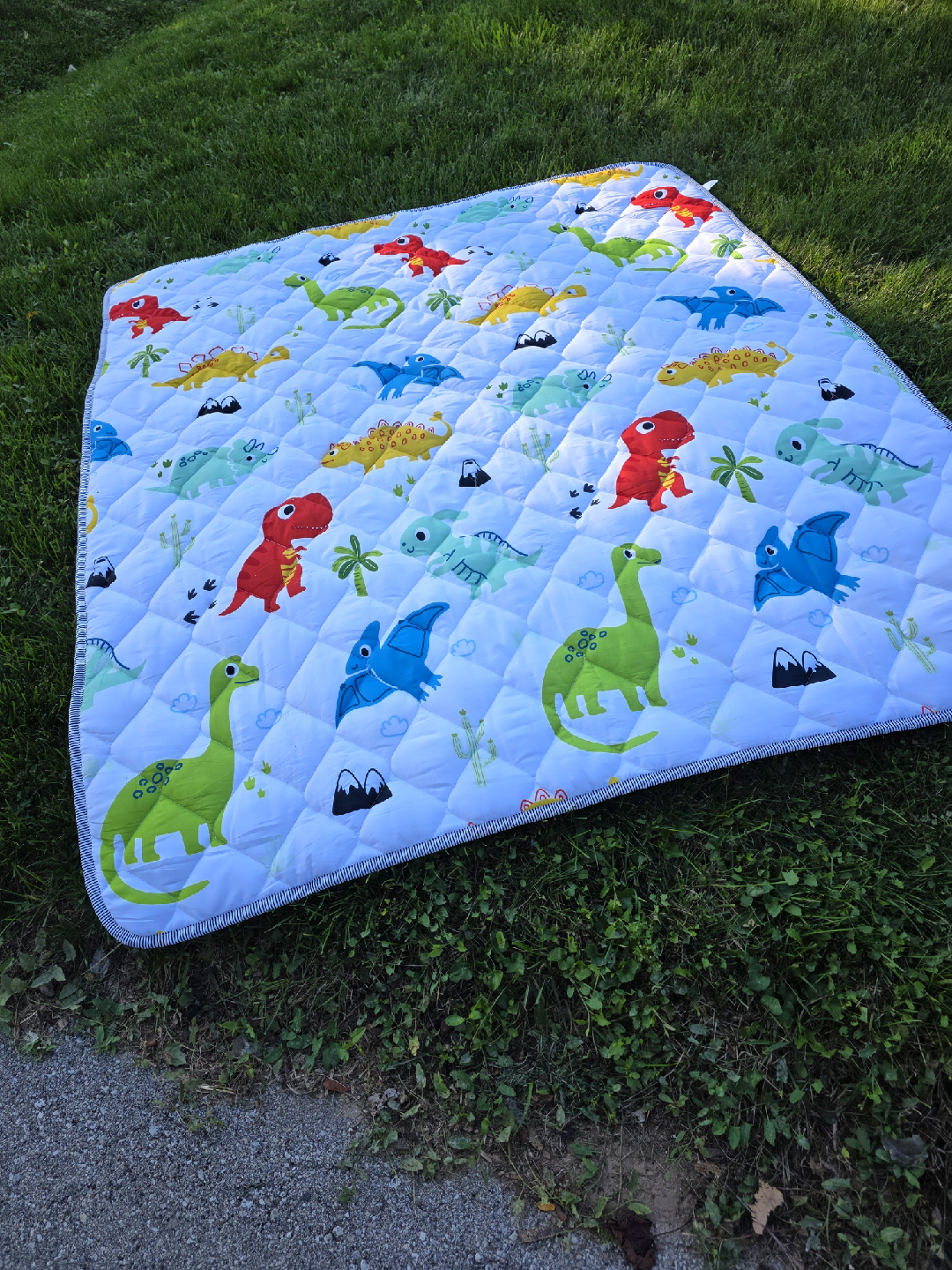 Dinosaur Print Quilted Baby Play Mat