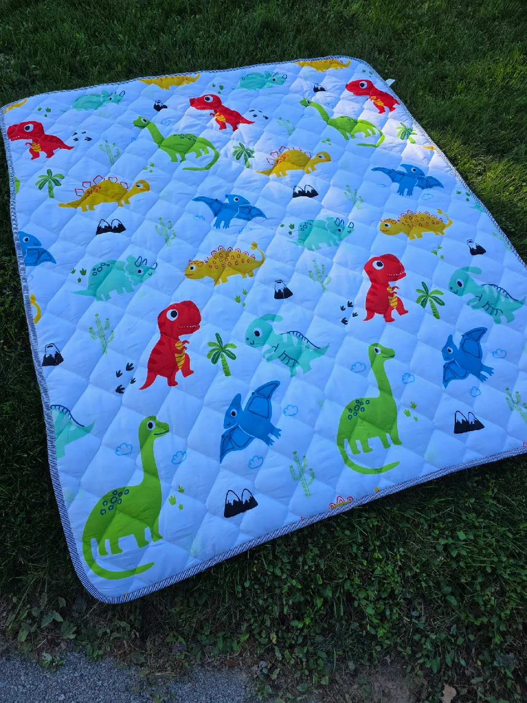 Dinosaur Print Quilted Baby Play Mat image indicator(2)