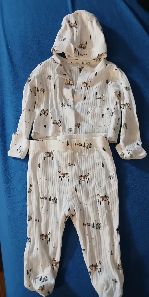 Baby Boy Outfit (Up to 3 Months) – Gerber image indicator(2)