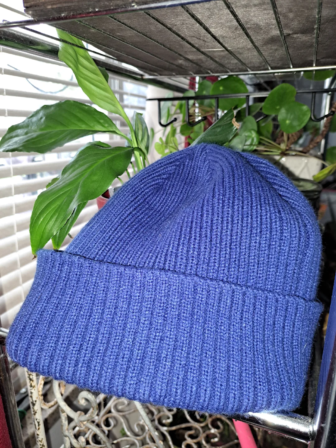 NEW Toronto Blue Jays New Era Toque image indicator(2)