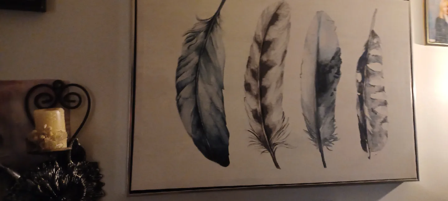 Feather Print Wall Art image indicator(2)