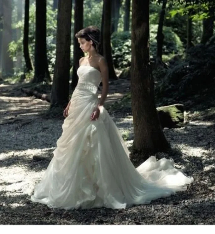 brand new! never worn Wedding Dress image indicator(3)