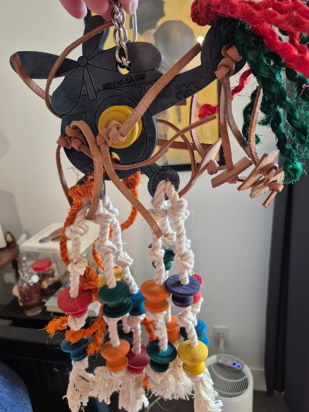 King's Cages Bird Toy🥕 image indicator(2)