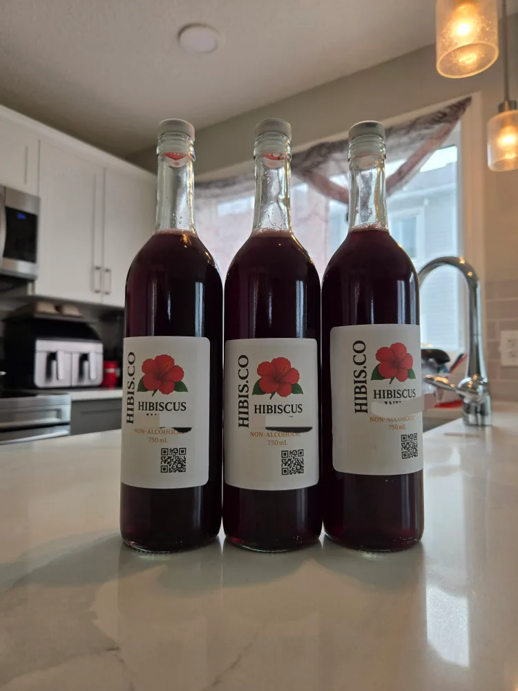 ​🌺 Delicious & Refreshing Homemade Hibiscus Drink image indicator(2)