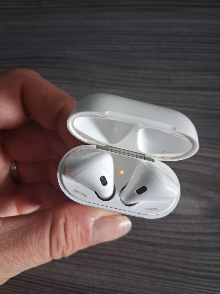 Apple AirPods with Charging Case - photo 3
