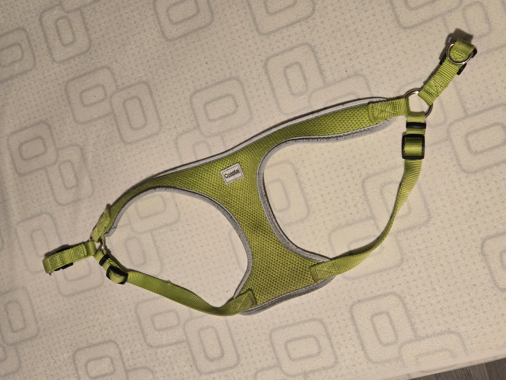 SOLD: Large Size Dog Harness