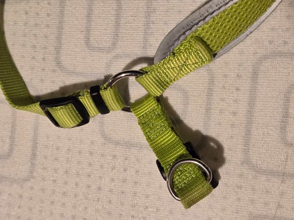 AVAILABLE: Large Size Dog Harness image indicator(6)