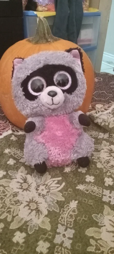 Ty Beanie Boo Raccoon Plush Toy thumbnail