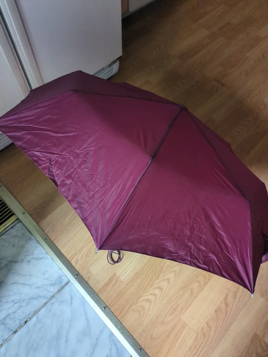 Burgundy Compact Umbrella 🧡 image indicator(3)