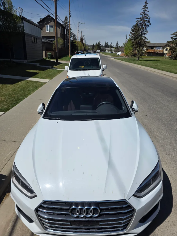 windshield replacement image indicator(9)