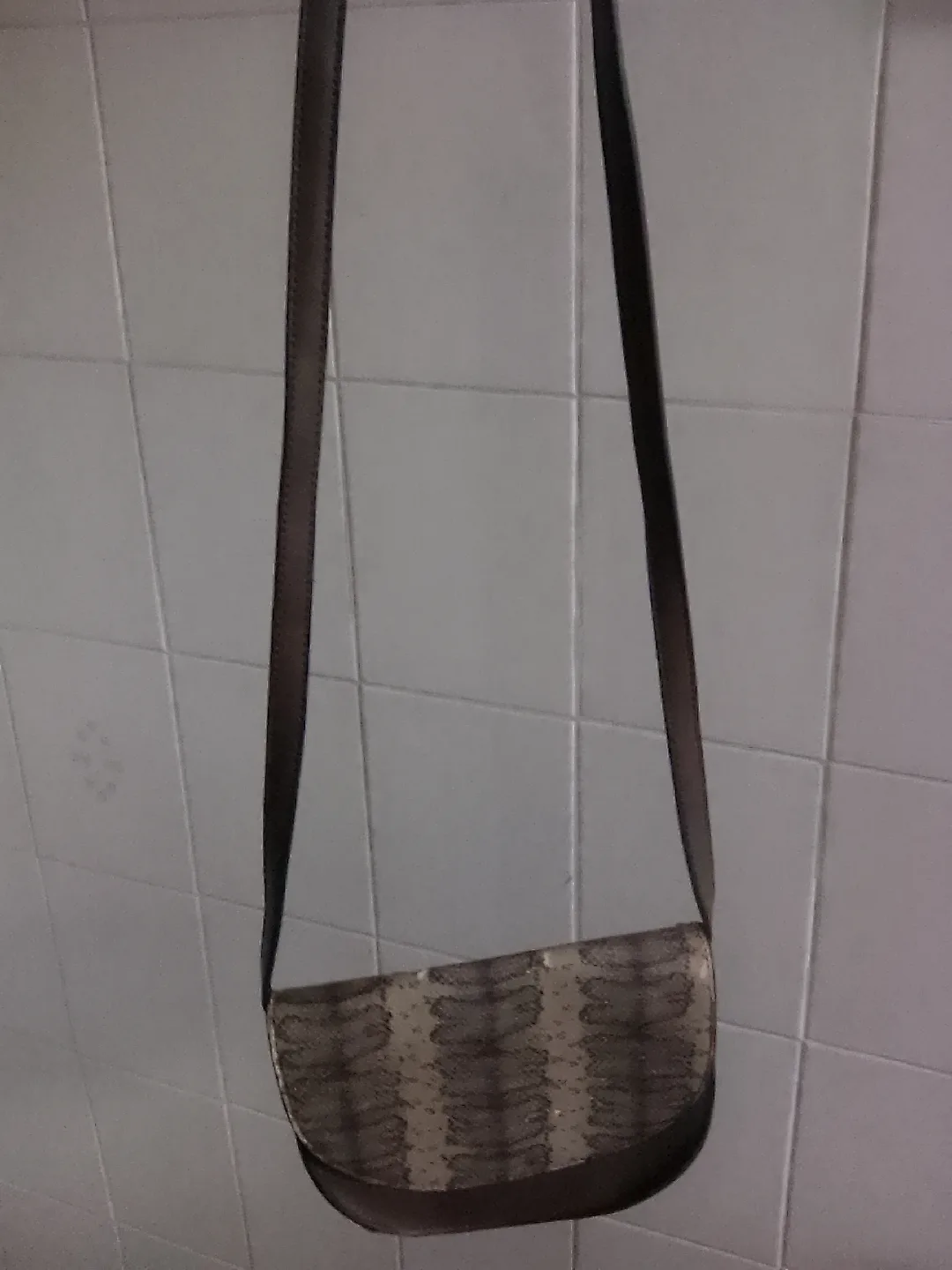 Snakeskin Pattern Crossbody Bag image indicator(2)
