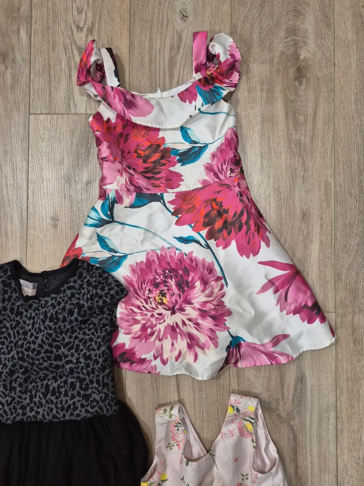 5T Girls Dresses Bundle image indicator(5)