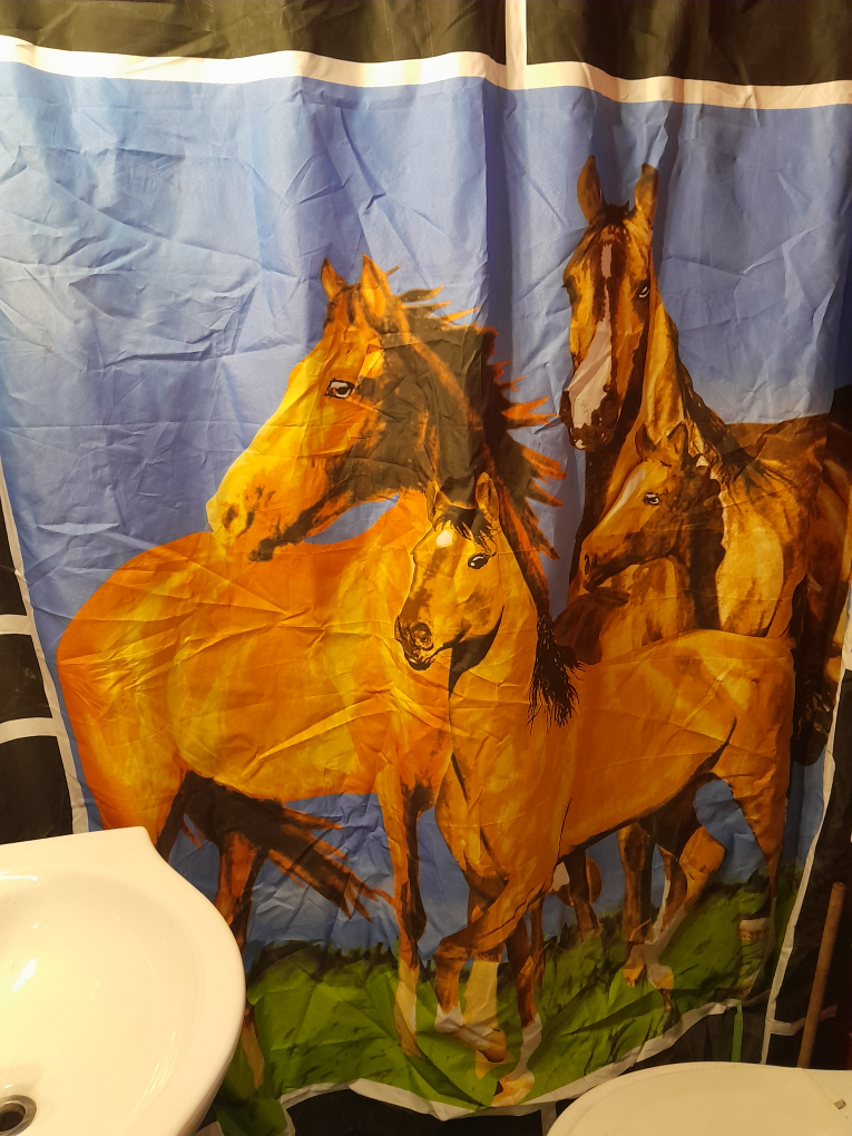 Horse Print Shower Curtain