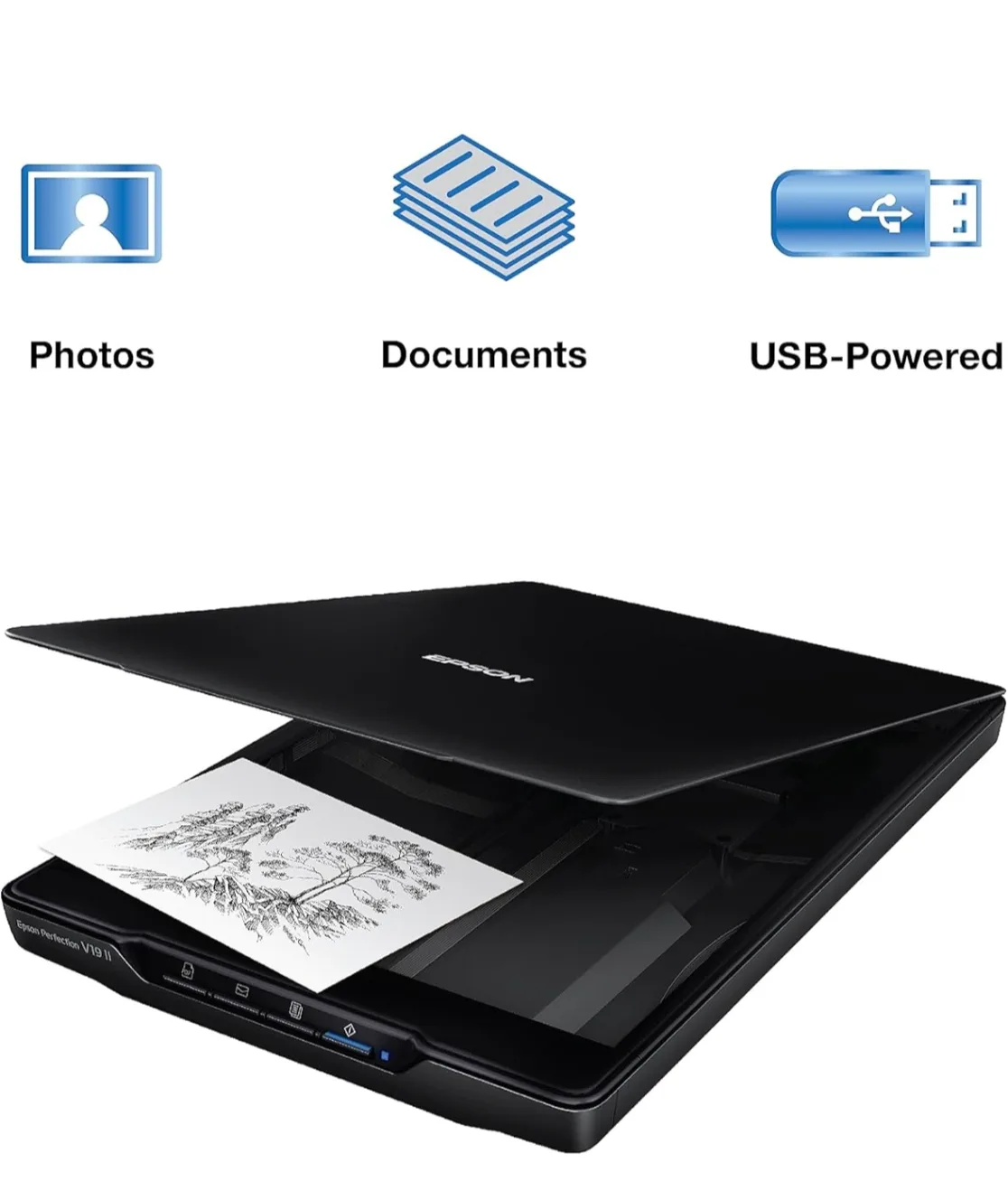 Epson Perfection V19 II Scanner image indicator(2)